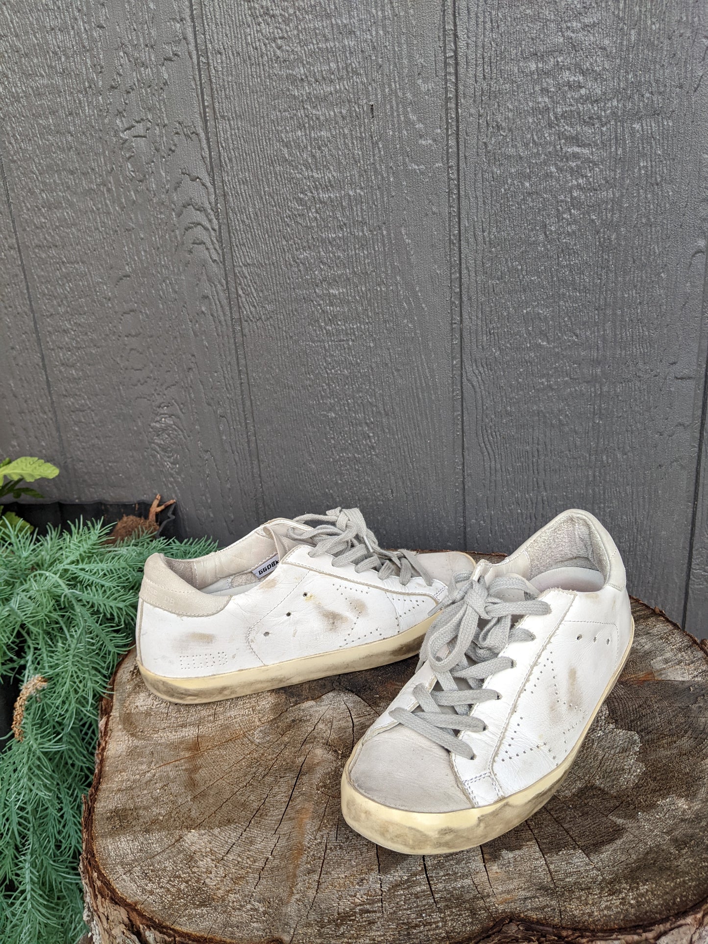 GOLDEN GOOSE White/Gray Leather Suede Superstar Lowtop Sneakers Sz 36