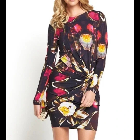 Ted Baker Talala dress sz Ted 2 (Med)