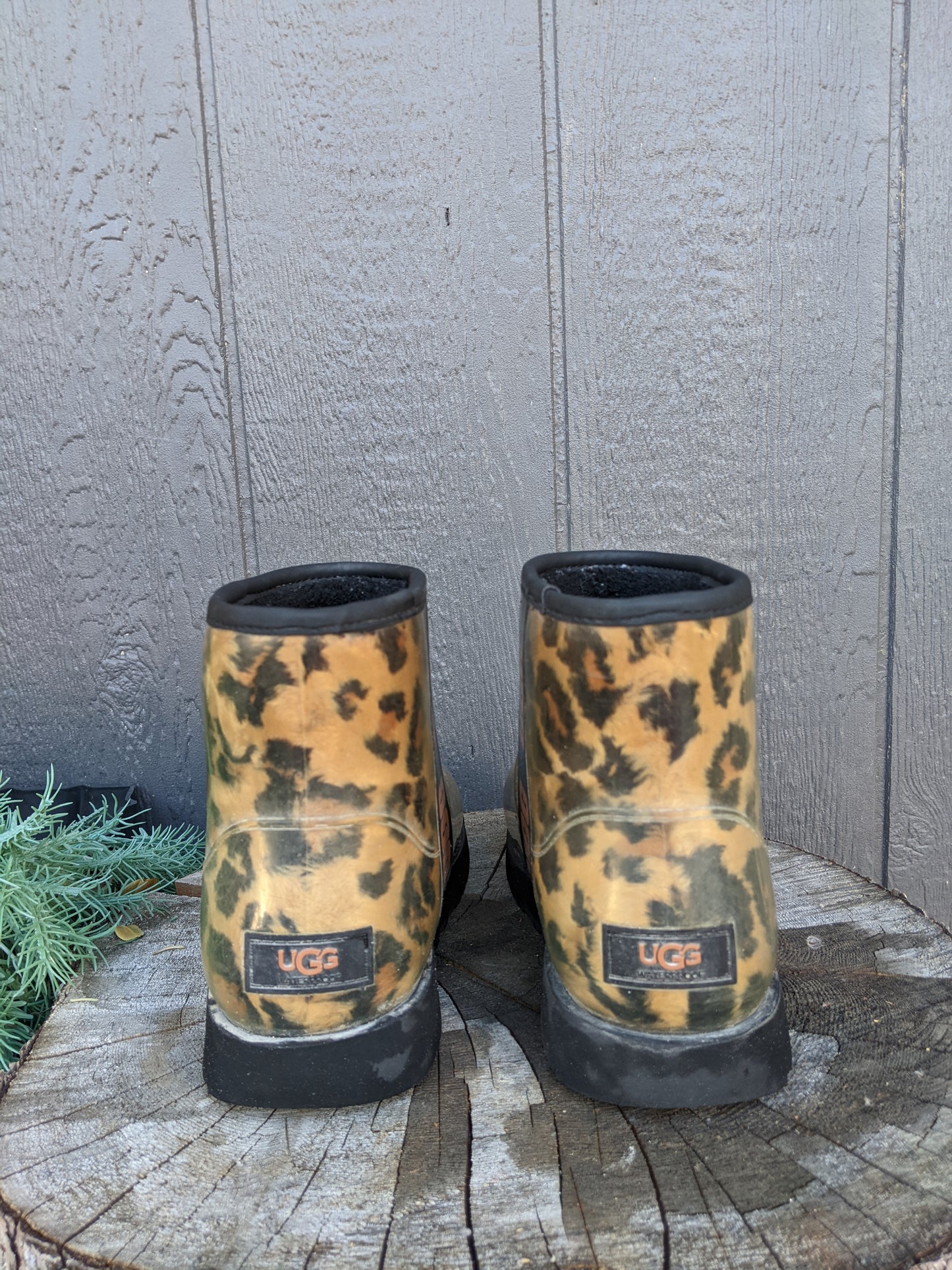UGG Classic Clear Mini Panther sz 8.