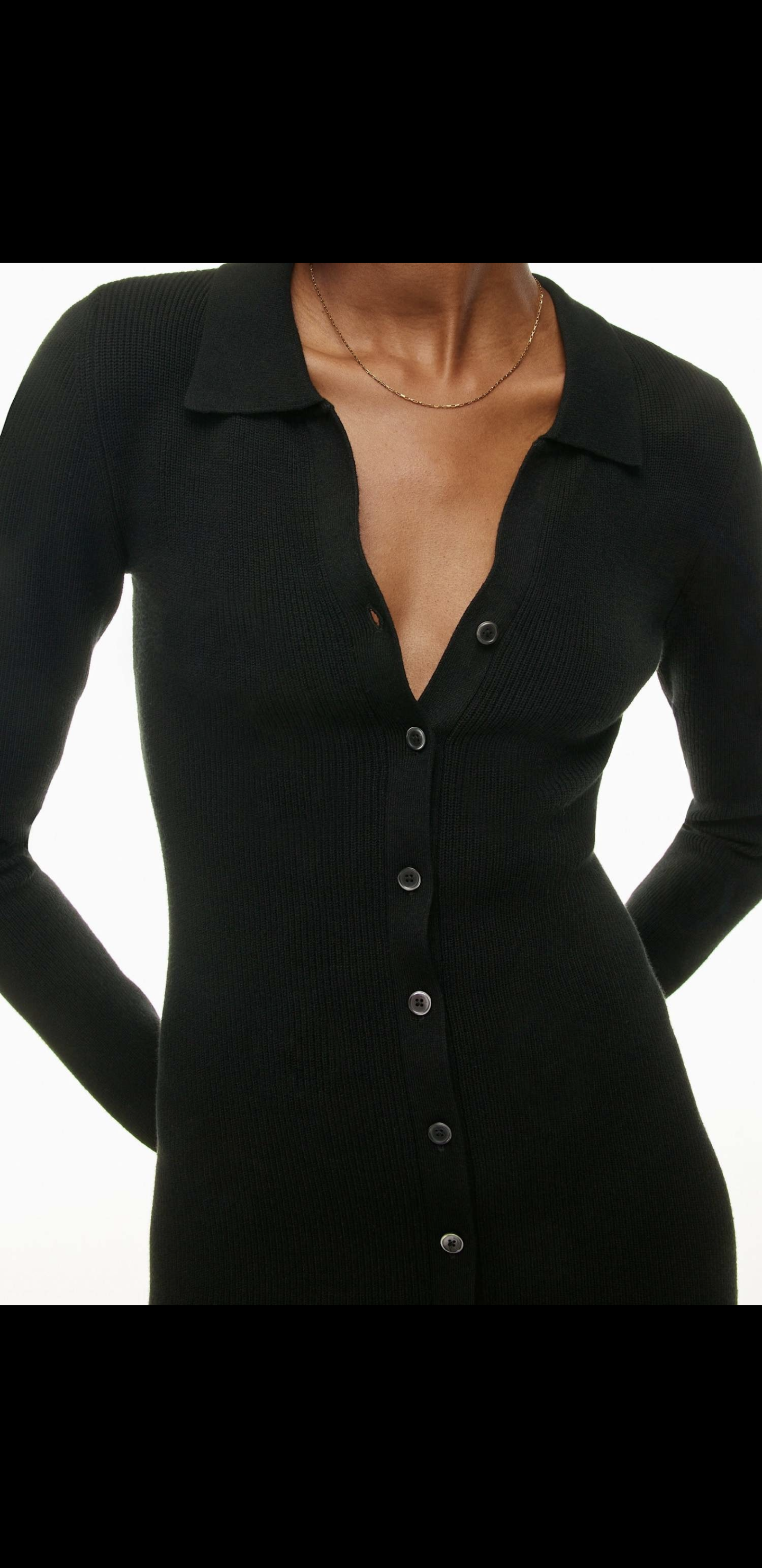 Wilfred Cove Dress sz M